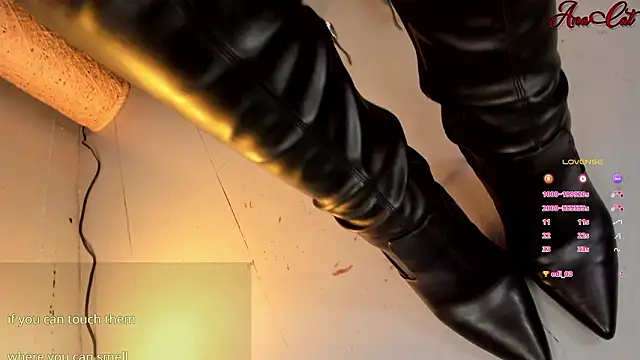 ana cat online show from 03-11-26, 03:51