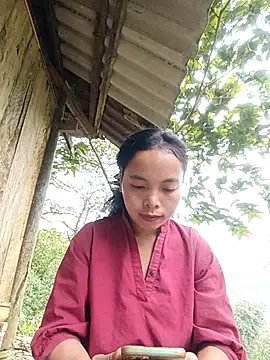 Snapshot of Nguyet2k4 chatting on 11-24-25, 01:49 Nguyet2k4 online show from 11-24-25, 01:49