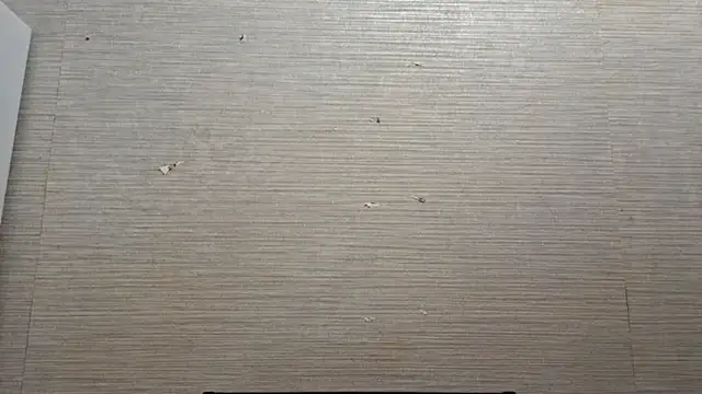 AstraVale online show from 11-03-25, 08:26