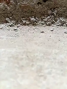 Rajni chauhan online show from 03-25-26, 04:13