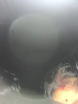 Ragni bhargav online show from 01-19-26, 04:22