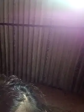 M-MAYA online show from 12-02-25, 05:41