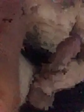 Osonhodelas online show from 01-11-26, 12:37