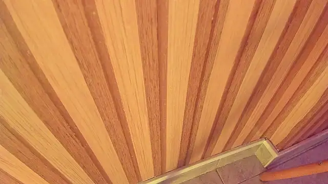 Snapshot of mia__blaze__ chatting on 01-15-26, 03:00 mia blaze online show from 01-15-26, 03:00