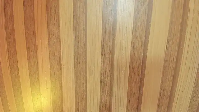 Snapshot of mia__blaze__ chatting on 02-06-26, 03:00 mia blaze online show from 02-06-26, 03:00