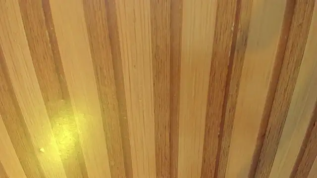 mia  blaze   online show from 04-08-26, 02:55