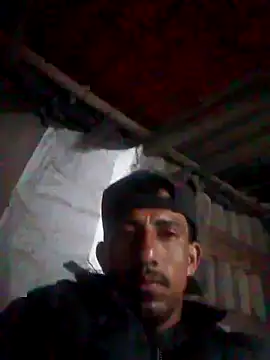 Orlao25cm online show from 10-18-25, 08:04