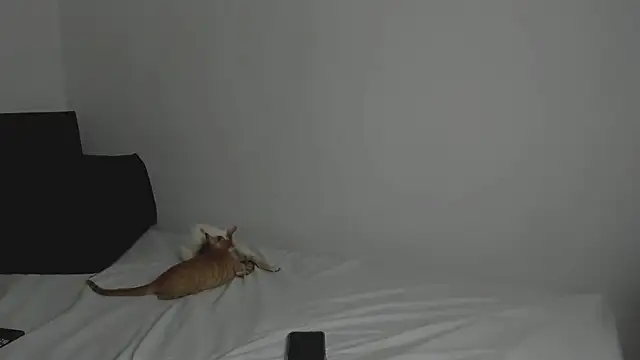 tifanymonroe online show from 10-30-25, 11:00