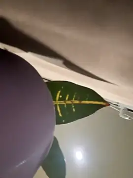 Amelia-Diamond online show from 11-28-25, 08:22