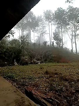 sowbibi online show from 12-15-25, 02:16