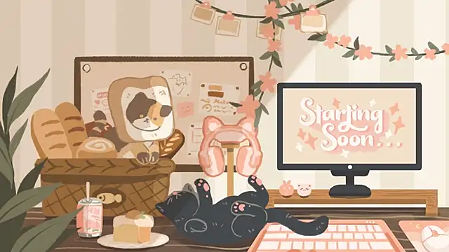 geekycastillo online show from 11-05-25, 03:39