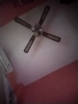 Snapshot of Danii2005 chatting on 11-06-25, 01:34 Danii2005 online show from 11-06-25, 01:34