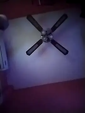 Snapshot of Danii2005 chatting on 11-12-25, 06:52 Danii2005 online show from 11-12-25, 06:52