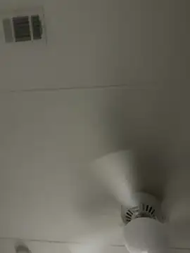 D13ON3L online show from 11-08-25, 08:03