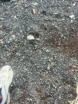 Rico1 1 online show from 11-18-25, 08:41