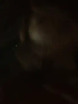 Lara-11 online show from 02-14-26, 06:43