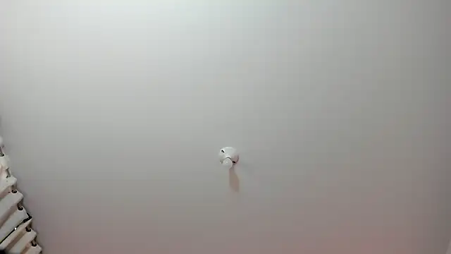 eimyy rouse online show from 02-26-26, 07:46