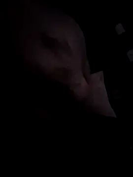 Djemi 7 online show from 03-04-26, 02:39