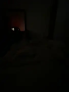 Snapshot of llllllllIIIll chatting on 02-17-26, 04:42 llllllllIIIll online show from 02-17-26, 04:42