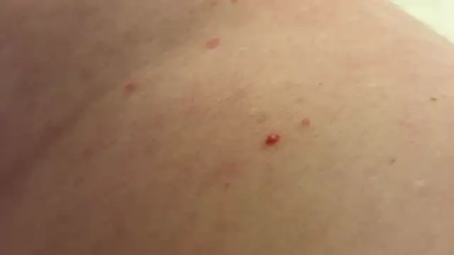 Snapshot of andrenoma427 chatting on 01-13-26, 03:23 andrenoma427 online show from 01-13-26, 03:23