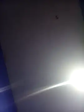 HSexy Men00 online show from 11-26-25, 08:59