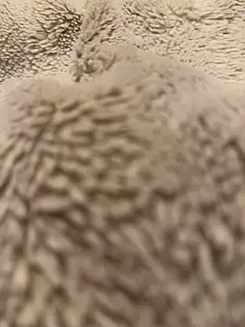 Jackoff2345 online show from 02-18-26, 05:25