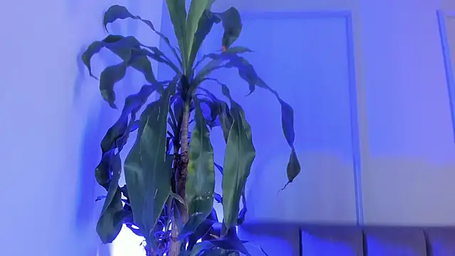 andreanix online show from 05-24-26, 06:24