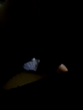 Nnicole1223 online show from 11-02-25, 09:11