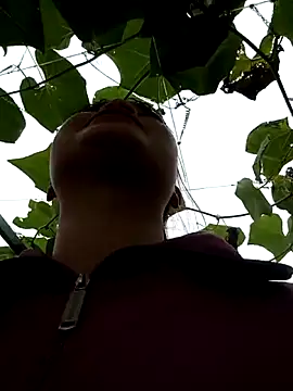 Noelle-e online show from 03-11-26, 05:35