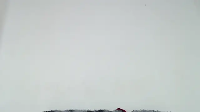 Mia fox29 online show from 10-31-25, 01:01