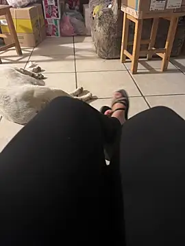 Evil kitty6 online show from 12-15-25, 12:26