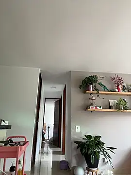 SugarTroubl33 online show from 11-12-25, 01:33