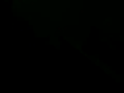 giovanift111 online show from 10-29-25, 11:17