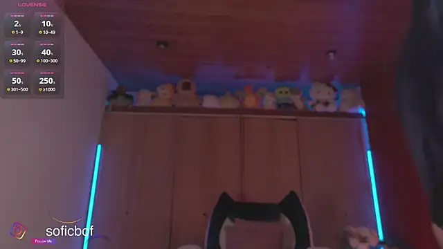 sofi sc online show from 11-21-25, 05:44