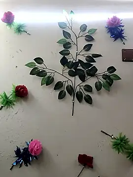 Snapshot of Indian-Glory chatting on 01-14-26, 08:47 Indian-Glory online show from 01-14-26, 08:47