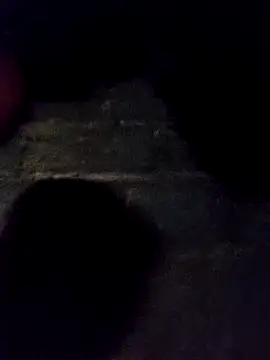 bella-la online show from 11-30-25, 11:25