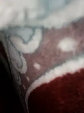 bigtelugubhama online show from 11-22-25, 11:09