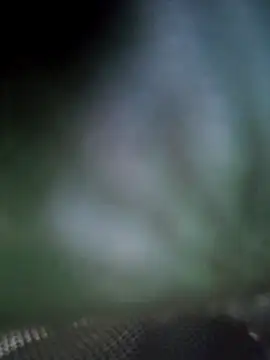 Georgette466 online show from 04-18-26, 02:10