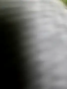 Snapshot of playboy210600 chatting on 02-05-26, 02:33 playboy210600 online show from 02-05-26, 02:33