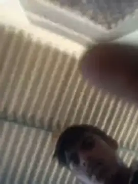 Snapshot of Pallu_Asha chatting on 03-02-26, 07:48 Pallu Asha online show from 03-02-26, 07:48