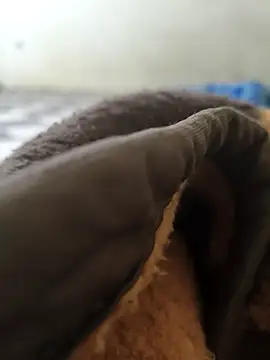 Snapshot of Realverse chatting on 11-05-25, 04:40 Realverse online show from 11-05-25, 04:40