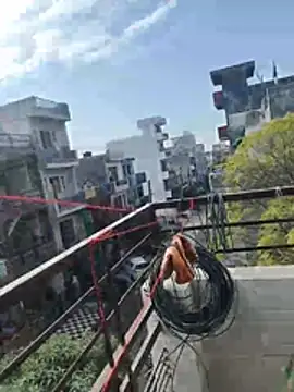 sexychd online show from 12-15-25, 04:39