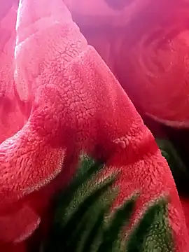 tamal2511 online show from 01-09-26, 03:04