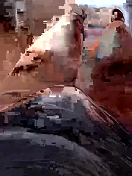 Vanja33 online show from 11-03-25, 03:35