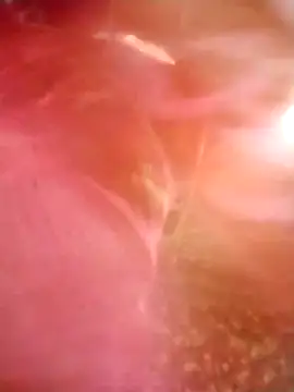 Jooli cuty online show from 03-14-26, 02:28