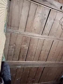 Bee-bgolden online show from 11-27-25, 02:30