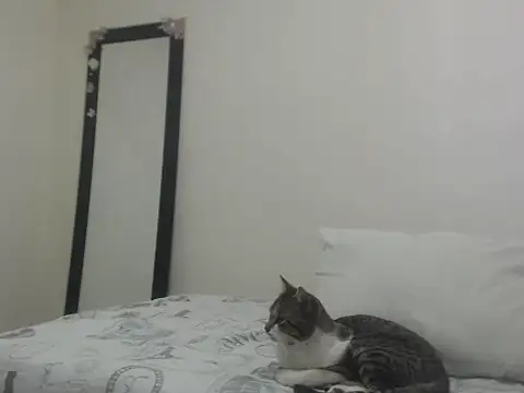 Snapshot of camila_rouswhyth chatting on 01-10-26, 01:35 camila rouswhyth online show from 01-10-26, 01:35