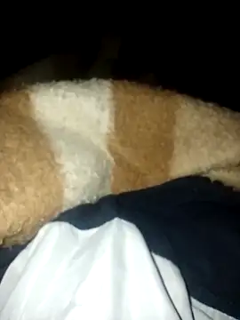 Snapshot of Azo3zgju chatting on 11-23-25, 02:33 Azo3zgju online show from 11-23-25, 02:33