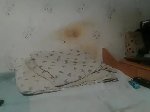 Snapshot of Kreol69 chatting on 11-19-25, 04:51 Kreol69 online show from 11-19-25, 04:51