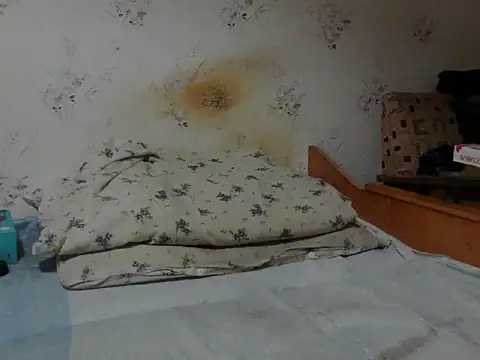 Snapshot of Kreol69 chatting on 11-24-25, 04:12 Kreol69 online show from 11-24-25, 04:12